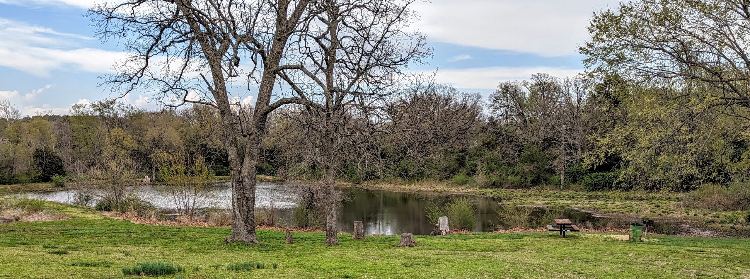 Lovely image of the pond at Bryce Davis Park. A bench sits in the foreground.