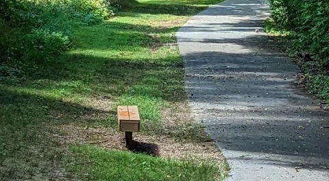 A well lit shot of a bench found at JB Hunt Park located along one of the many trails. There are many trees drapping over the trail and the trail is paved with Lake Springdale in the background.