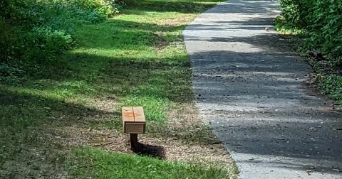 A well lit shot of a bench found at JB Hunt Park located along one of the many trails. There are many trees drapping over the trail and the trail is paved with Lake Springdale in the background.